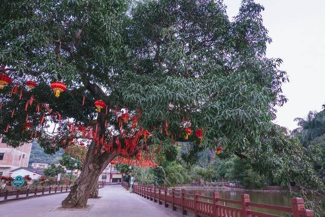 不用去云南，在广东也有个石林，一般人还不知道15