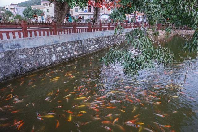 不用去云南，在广东也有个石林，一般人还不知道16