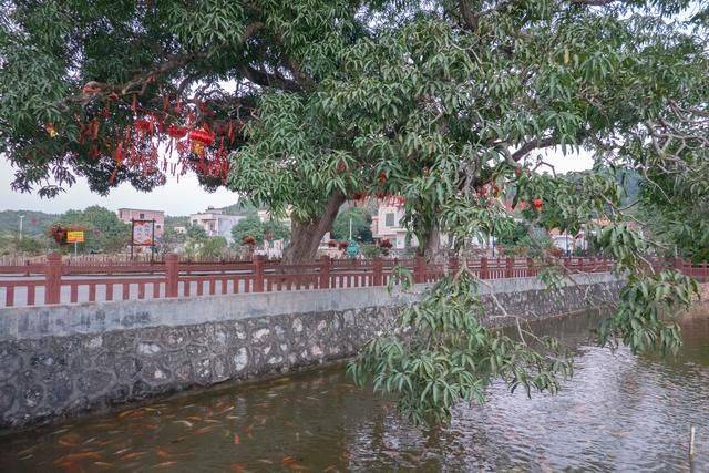 不用去云南，在广东也有个石林，一般人还不知道17