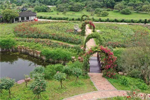 成都春季去哪里旅游比较好3