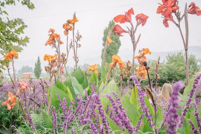 这是中国最慢的火车,车费120元,却火爆异常人满为患23