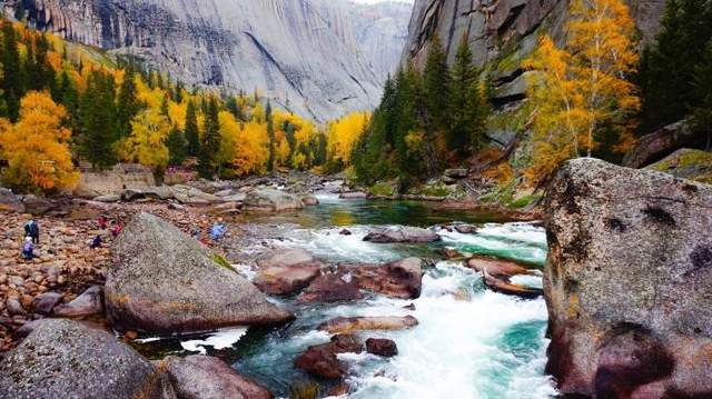 驼铃,胡杨,可可托海的彼岸1