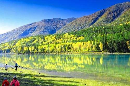 驼铃,胡杨,可可托海的彼岸2