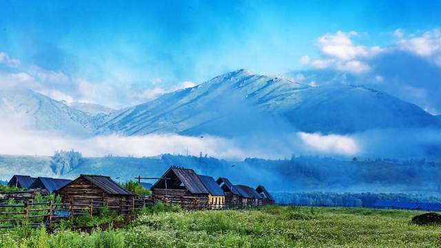 驼铃,胡杨,可可托海的彼岸3