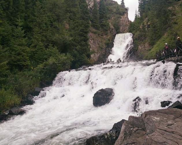 驼铃,胡杨,可可托海的彼岸5