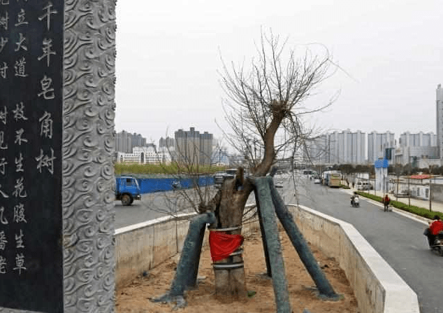 原创 河南有个“奇特的”钉子户,占据马路数百年,连工程队都不敢拆1