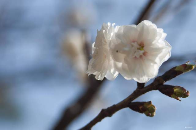 优雅地老去,我们一直在路上1