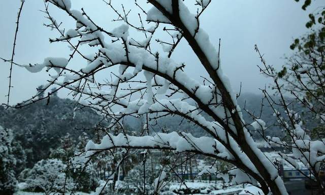 优雅地老去,我们一直在路上2