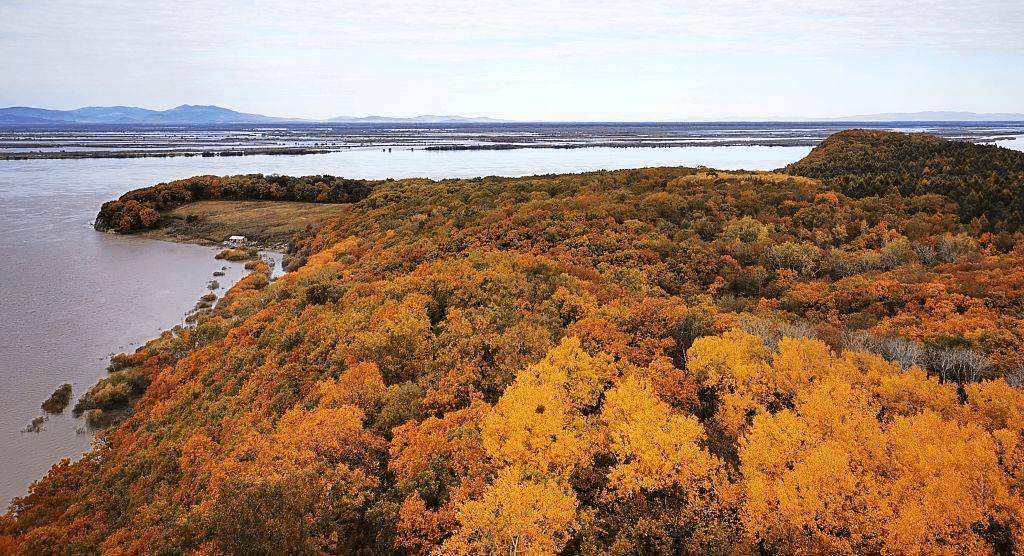 原创 东北最特别的高铁,转圈运行,始发站就是终点站!6