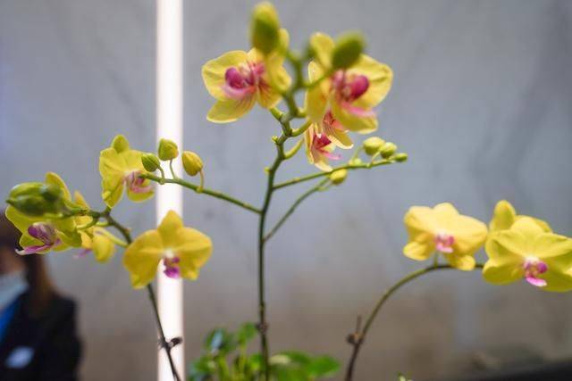 广州有家希尔顿花园酒店，三四百就能住进去了，性价比还蛮高2