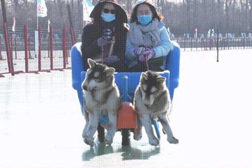 2022虎年春节颐和园怎么玩?有哪些活动?这份详细的攻略请收好5