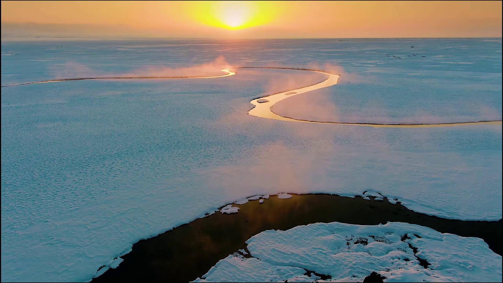 原创 新疆沙漠遍布,却是渔业大省,鱼是怎么养的跟棉花一样好的?2