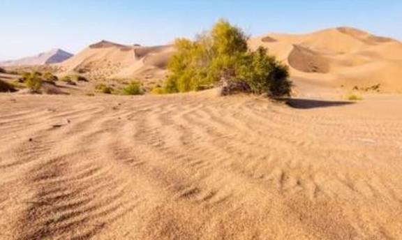 原创 探秘中国一处奇特的沙漠,竟有湖泊百多个,这水是从哪里来的?6