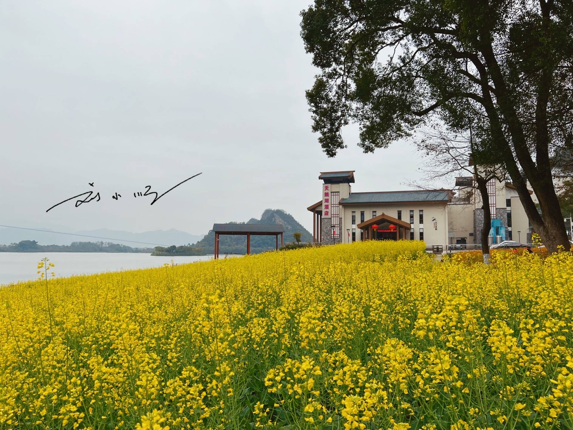 原创 广东有一处宝藏4A景区,被称作“广东版桂林”,游客:好看又好玩2