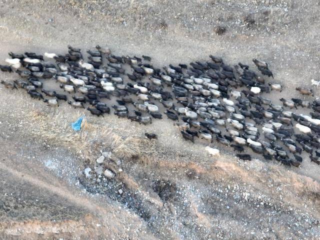 山西漂亮寺庙的真太多了,随便一个就是孤品和精品9