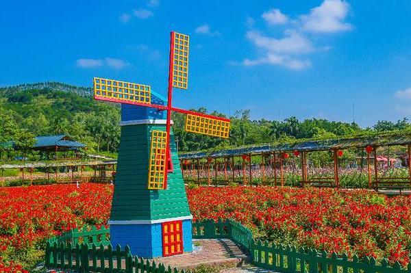 佛山春季赏花好去处 花海景点推荐1