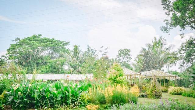 印尼旅游不可错过的一站:火山下的梦幻仙境,随手一拍就是大片15
