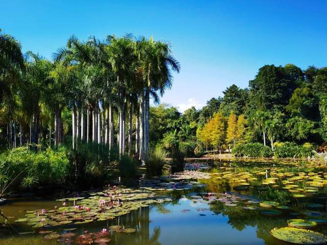 中老铁路火了！中国首个跨国高铁，车票巨便宜，沿途皆是美景5