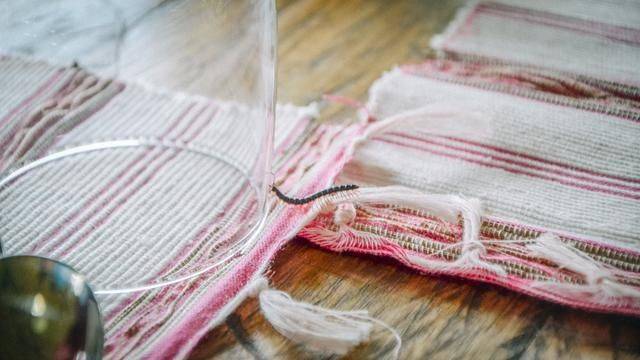 火山脚下的餐厅拥有一流景色,误入爱丽丝梦游仙境,随手就是大片8