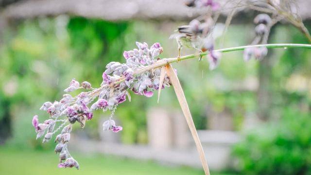 火山脚下的餐厅拥有一流景色,误入爱丽丝梦游仙境,随手就是大片21
