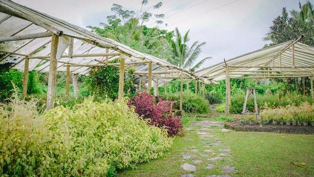 火山脚下的餐厅拥有一流景色,误入爱丽丝梦游仙境,随手就是大片29