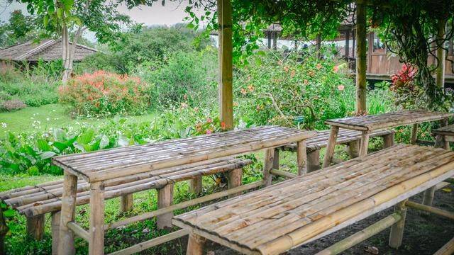 火山脚下的餐厅拥有一流景色,误入爱丽丝梦游仙境,随手就是大片31