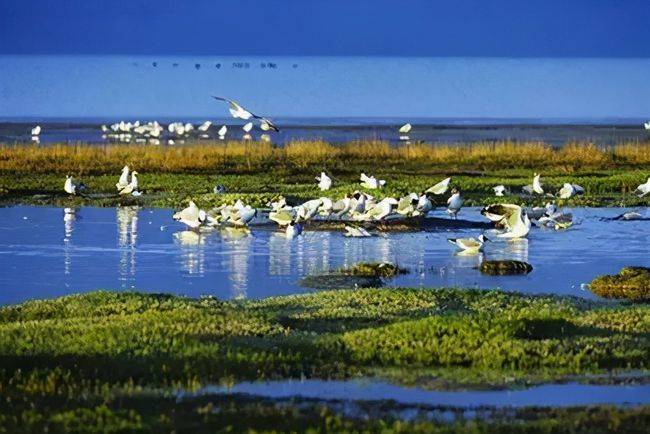 原创 中国有一条“反常理”的河,河水逆着流,令很多游客好奇前来4