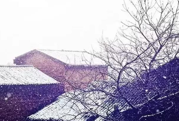 重庆小众看雪的地方 超美风景地推荐2