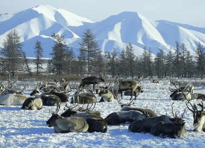 原创 世界上极为寒冷的地区，人烟稀少却烟火气息十足，且仅有一条公路4