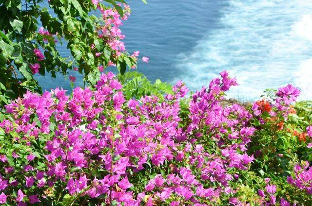 曾经的度假天堂,现在没有一个外国游客,这么美的风景怎么能错过10