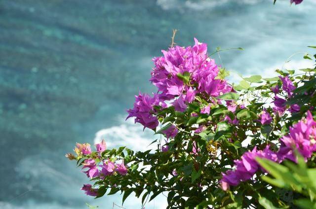 曾经的度假天堂,现在没有一个外国游客,这么美的风景怎么能错过17