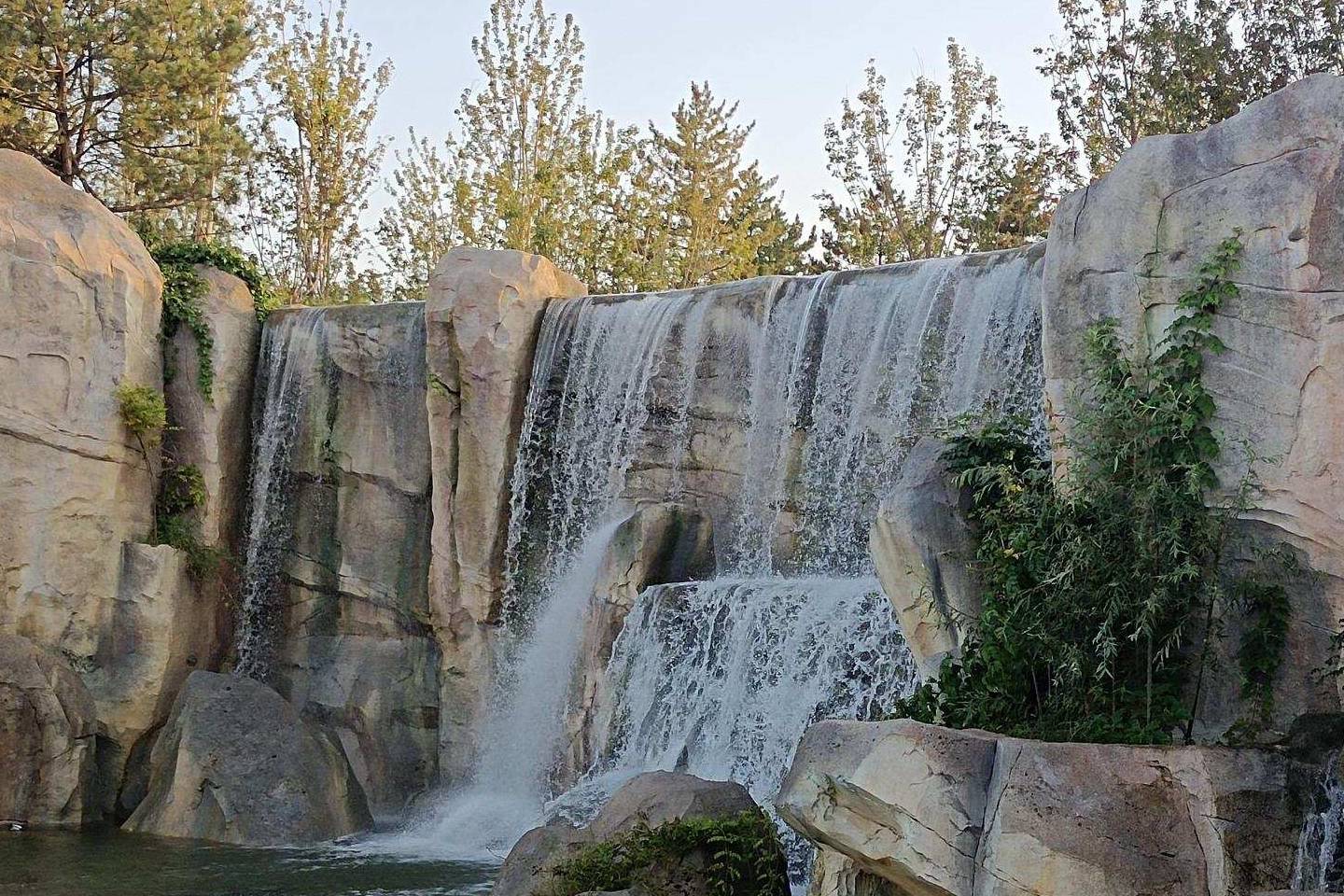 原创 金色季节之温榆河公园西园（下），路遇黏人狸花猫1