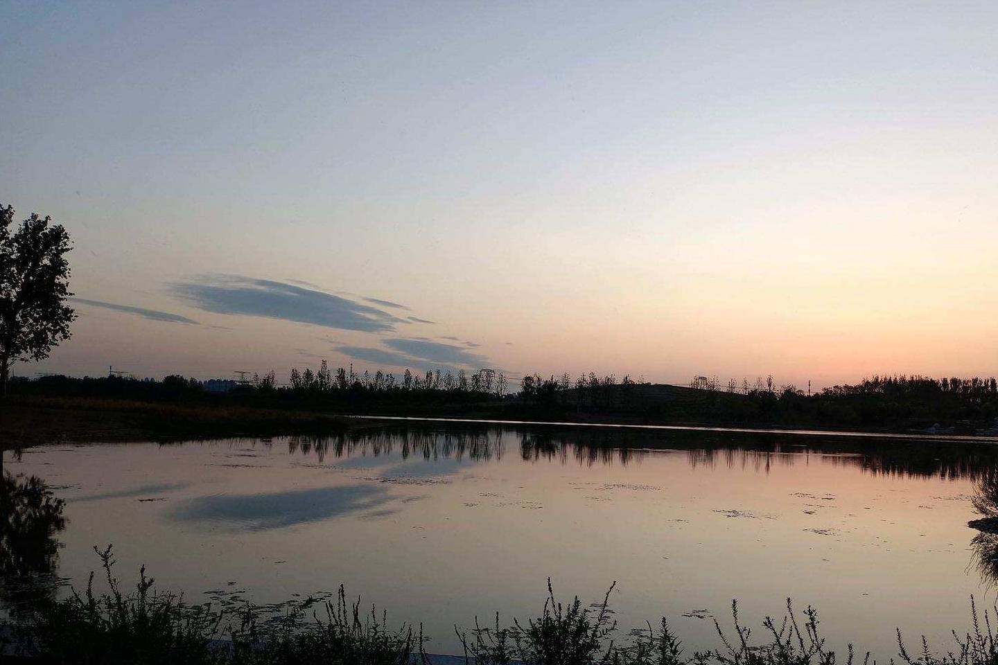 原创 金色季节之温榆河公园西园（下），路遇黏人狸花猫12