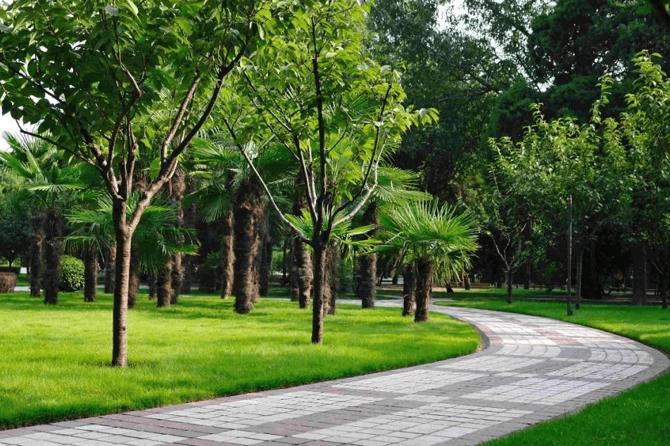 原创 北京有一座“低调的”公园,门票仅售2毛钱,客流量却十分稀少4