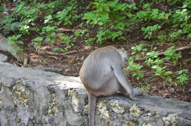 巴厘岛最美海滩，曾经有一对情侣殉情，如今成为著名景点19