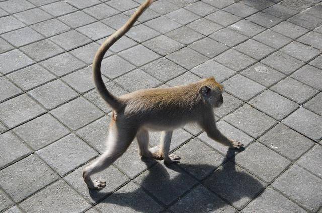 巴厘岛最美海滩，曾经有一对情侣殉情，如今成为著名景点20