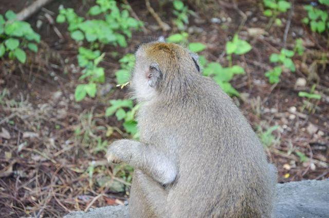 巴厘岛最美海滩，曾经有一对情侣殉情，如今成为著名景点21