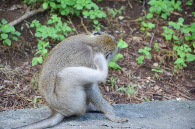 巴厘岛最美海滩，曾经有一对情侣殉情，如今成为著名景点22