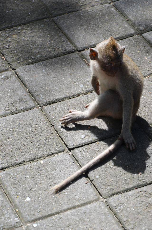 巴厘岛最美海滩，曾经有一对情侣殉情，如今成为著名景点23