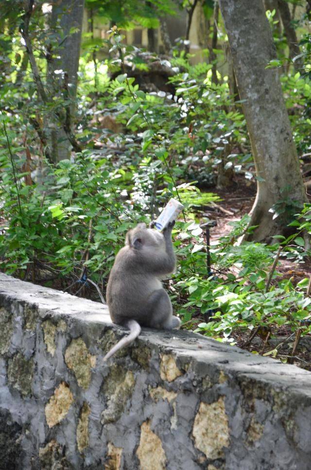巴厘岛最美海滩，曾经有一对情侣殉情，如今成为著名景点25
