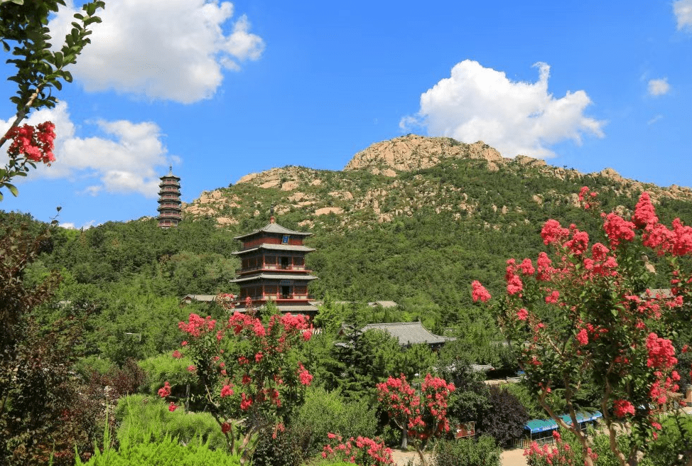 原创 辽宁又一小众景点“爆火”，因植被茂密，被游客誉为“天然氧吧”3