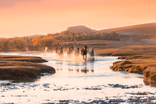 原创 内蒙一高铁接入京沈高铁,沿途这几座城有福了,快看看经过你家吗3