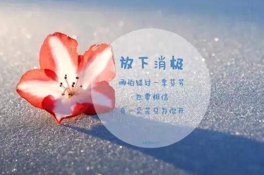 老人心态“七把剑”,晚年生活比蜜甜1