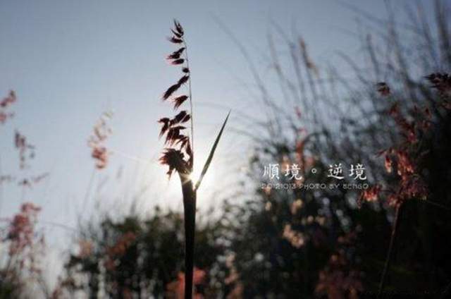 老人心态“七把剑”,晚年生活比蜜甜7