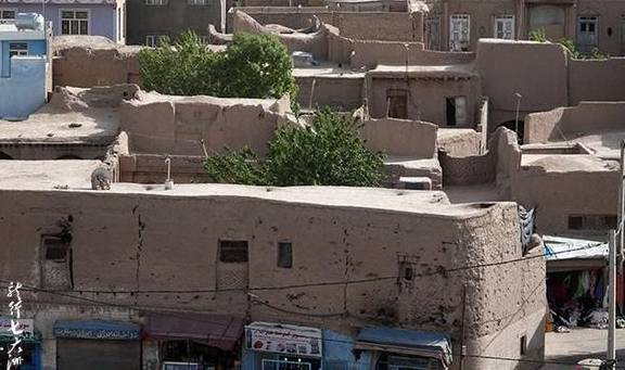 原创 「阿富汗」亚历山大大帝建造的“赫拉特城堡”19