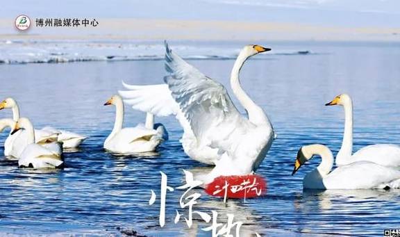 原创 绝美海报!带你领略醉美空中湖泊——博州赛里木湖4