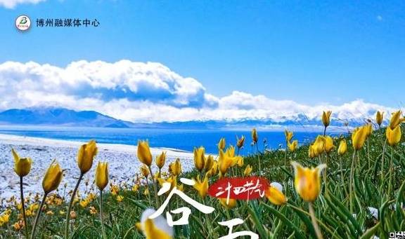 原创 绝美海报!带你领略醉美空中湖泊——博州赛里木湖7