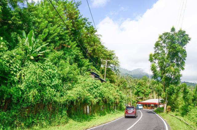 印尼都推荐旅游的菜市场，蟒蛇蝙蝠一样不少，你想来挑战一下吗2