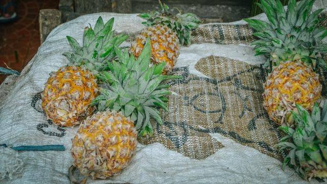 印尼都推荐旅游的菜市场，蟒蛇蝙蝠一样不少，你想来挑战一下吗7