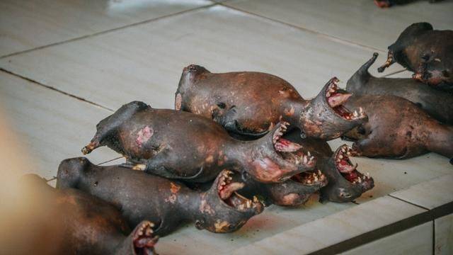 印尼都推荐旅游的菜市场，蟒蛇蝙蝠一样不少，你想来挑战一下吗11